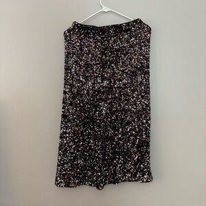 Sequin Skirt